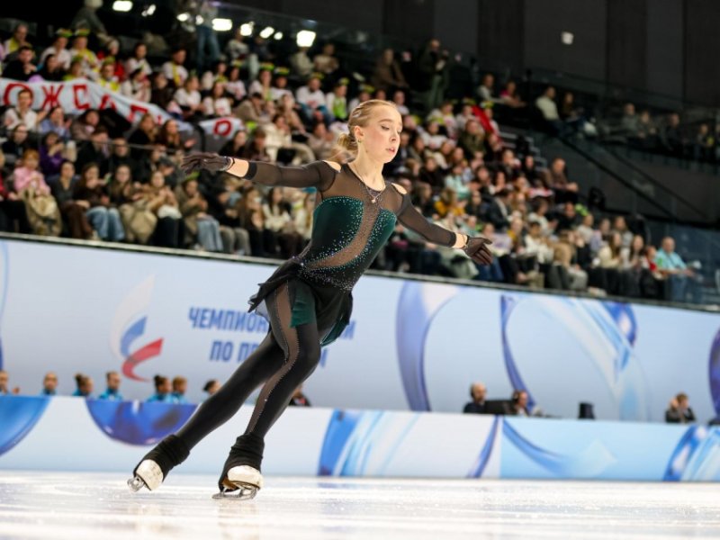 Защита вне площадки - виды чехлов для коньков в фигурном катании